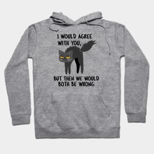 I WOULD AGREE WITH YOU, BUT THEN WE WOULD BOTH BE WRONG Hoodie